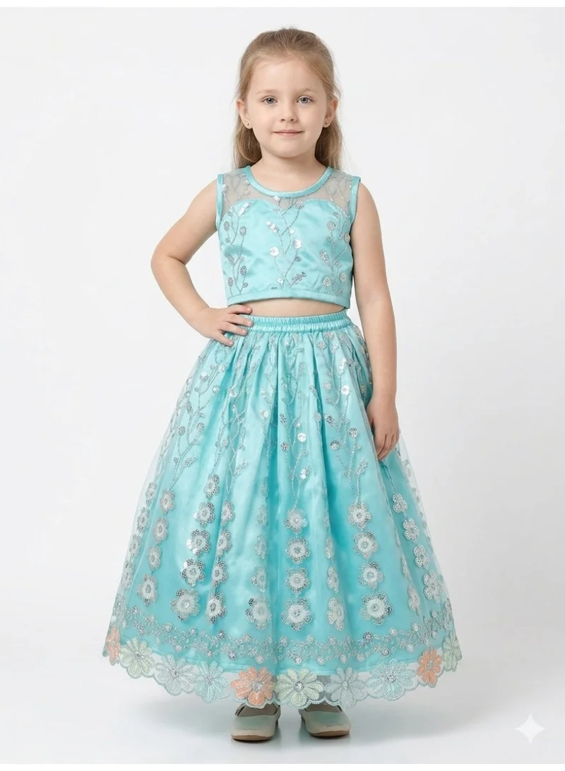Saka Designs Embroidered Sequinned Lehenga & Choli for Girls