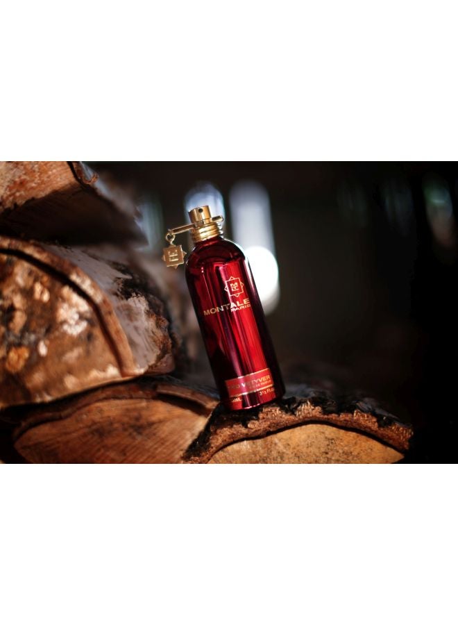 MONTALE Red Vetiver EDP 100ml - Image 5