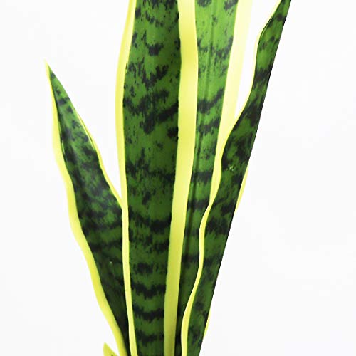 Bird Fiy Artificial Snake Plants 30" Faux Agave Fake Sansevieria Artificial Silk Plant for Home Garden Office Store Decoration 4 Pcs (Yellow) - Image 3