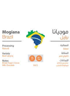 LACK SPECIALITY Coffee bean mogiana brazil 250G for Espresso And Filter 250G Unground roasted coffee beans for specialty coffee With a coffee scale spoon  - Image 2