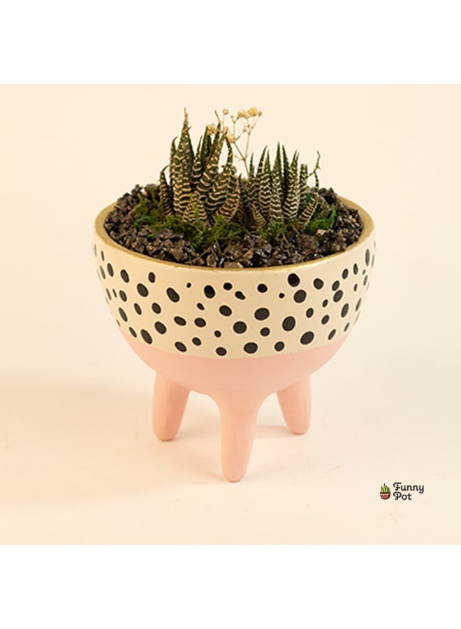 Cactus pottery pot