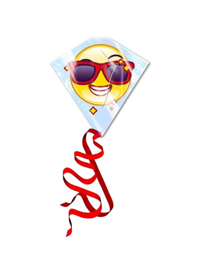 EOLO Eolo - Ready 2 Fly Smile Emoji Kite - EXPL200  - Image 1