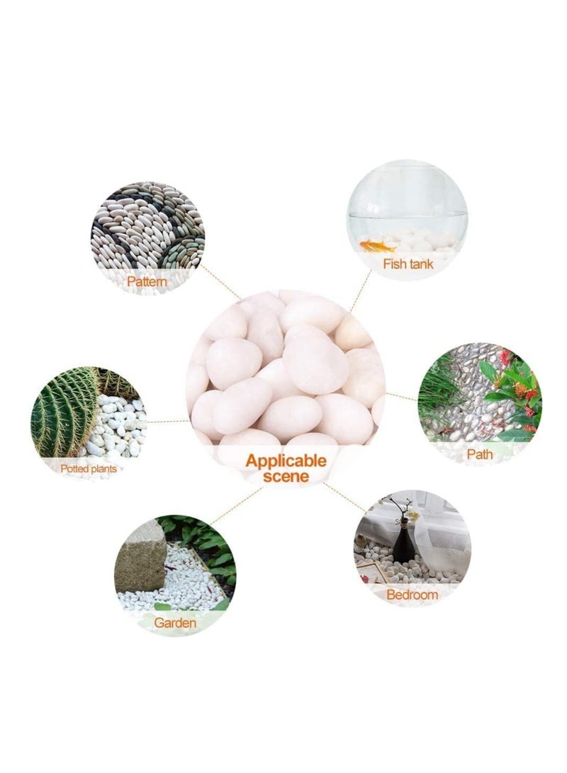 ڤسيل24 2-4 سم حصى زخرفية بيضاء نهر روك أحجار مصقولة كبيرة باللون الأبيض للأواني الزجاجية والمزهريات والحديقة الخارجية وأحواض السمك في الحديقة - Image 2