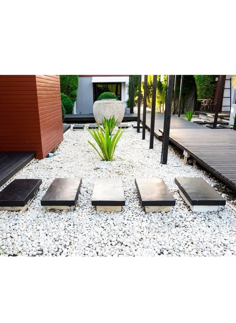 ڤسيل24 2-4 سم حصى زخرفية بيضاء نهر روك أحجار مصقولة كبيرة باللون الأبيض للأواني الزجاجية والمزهريات والحديقة الخارجية وأحواض السمك في الحديقة - Image 5