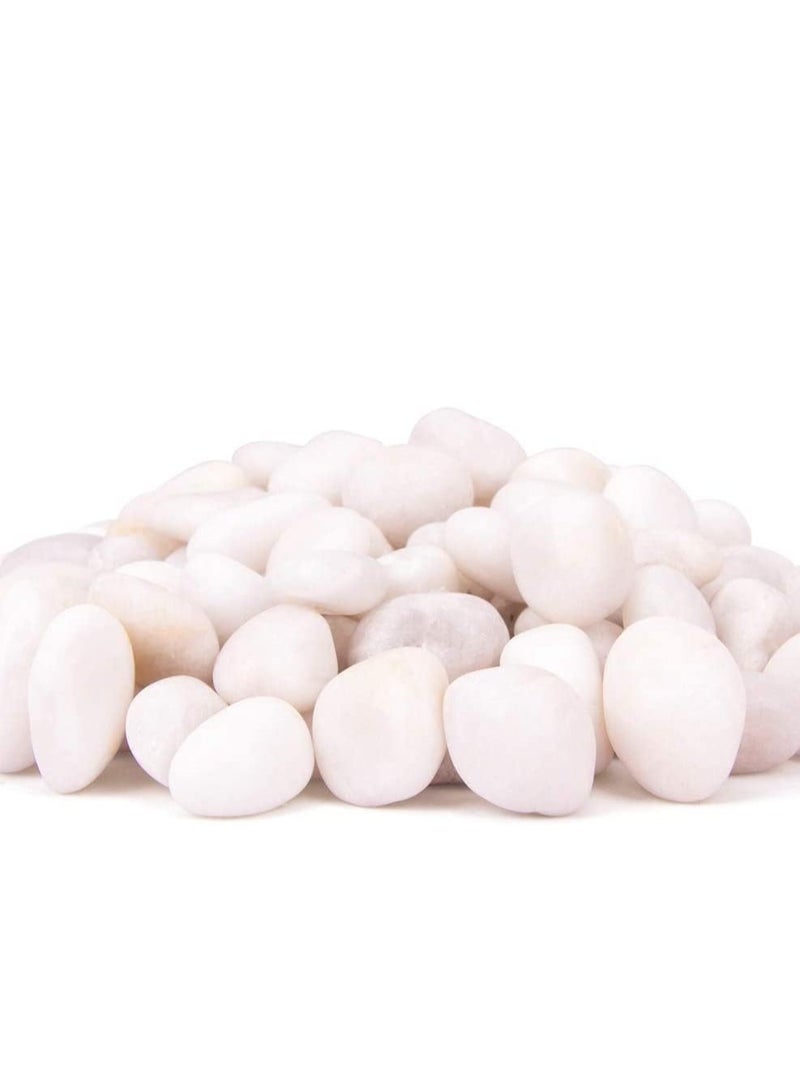 ڤسيل24 2-4 سم حصى زخرفية بيضاء نهر روك أحجار مصقولة كبيرة باللون الأبيض للأواني الزجاجية والمزهريات والحديقة الخارجية وأحواض السمك في الحديقة - Image 3