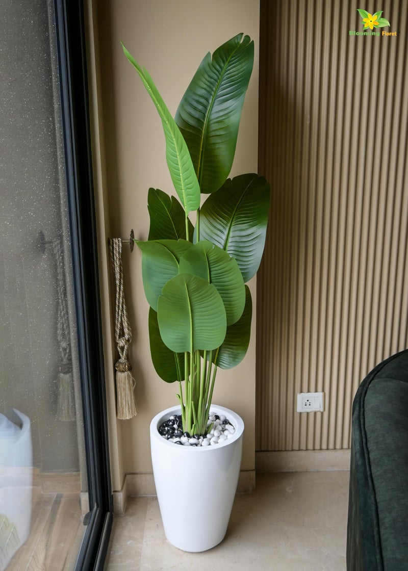 Blooming Floret Artificial Banana Plant 157 cm with Pot – Tall Tropical Faux Plant with Realistic Large Green Leaves for Home, Living Room, Office & Balcony Décor - Image 1