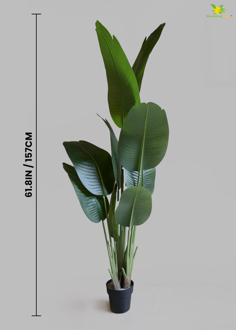 Blooming Floret Artificial Banana Plant 157 cm with Pot – Tall Tropical Faux Plant with Realistic Large Green Leaves for Home, Living Room, Office & Balcony Décor - Image 4