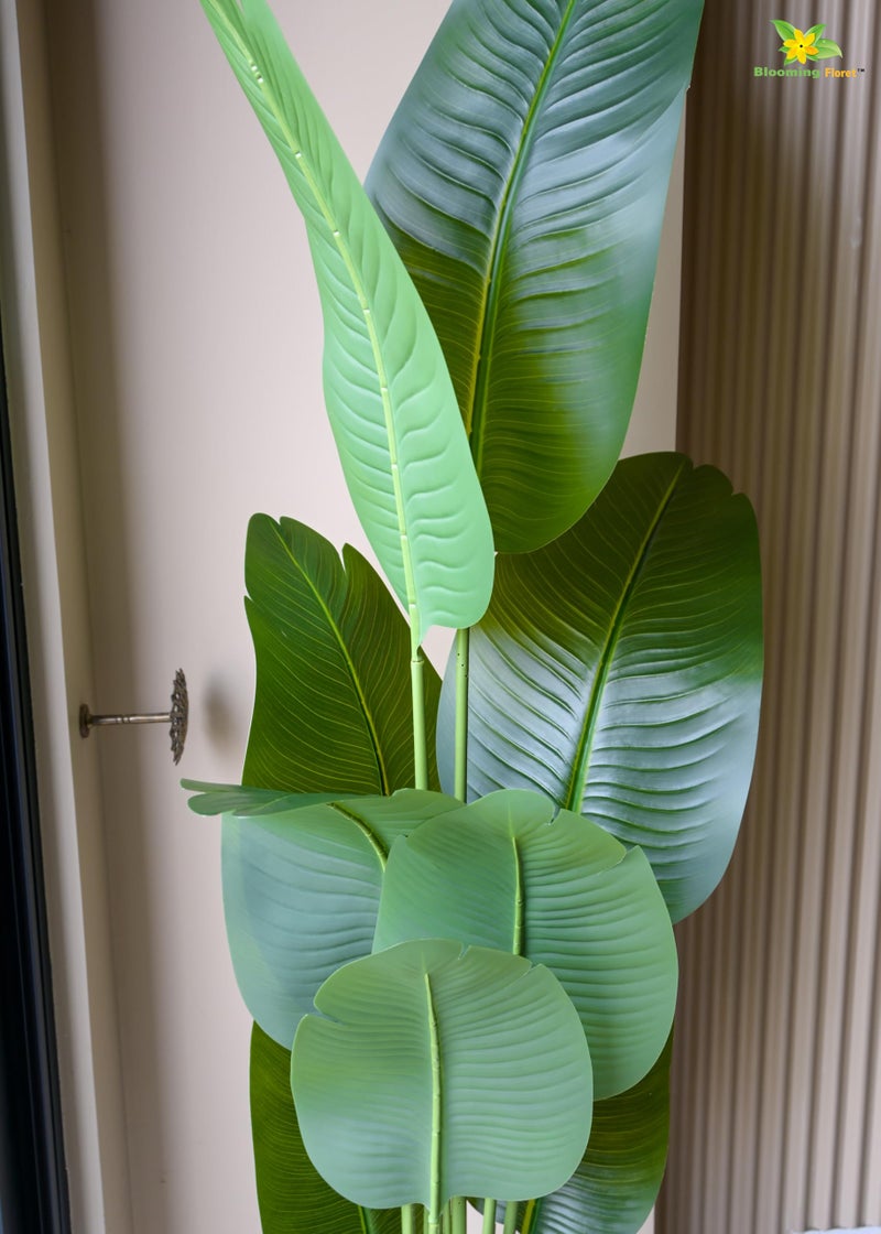 Blooming Floret Artificial Banana Plant 157 cm with Pot – Tall Tropical Faux Plant with Realistic Large Green Leaves for Home, Living Room, Office & Balcony Décor - Image 2