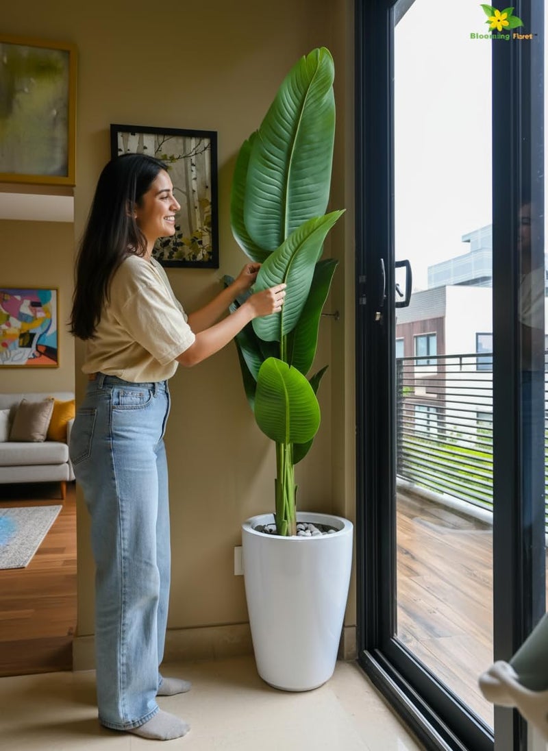 Blooming Floret Artificial Banana Plant 157 cm with Pot – Tall Tropical Faux Plant with Realistic Large Green Leaves for Home, Living Room, Office & Balcony Décor - Image 3