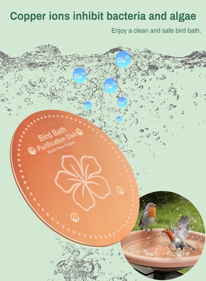 OICEME Bird Bath Purification Disk Pure Copper Outside Winter Solar Power Birdbath Wild Hummingbird Pedestal Fountain Cleaner Humming Feeder Cage Dispenser Heater Ground Safe Garden Lover Women Gift - Image 2