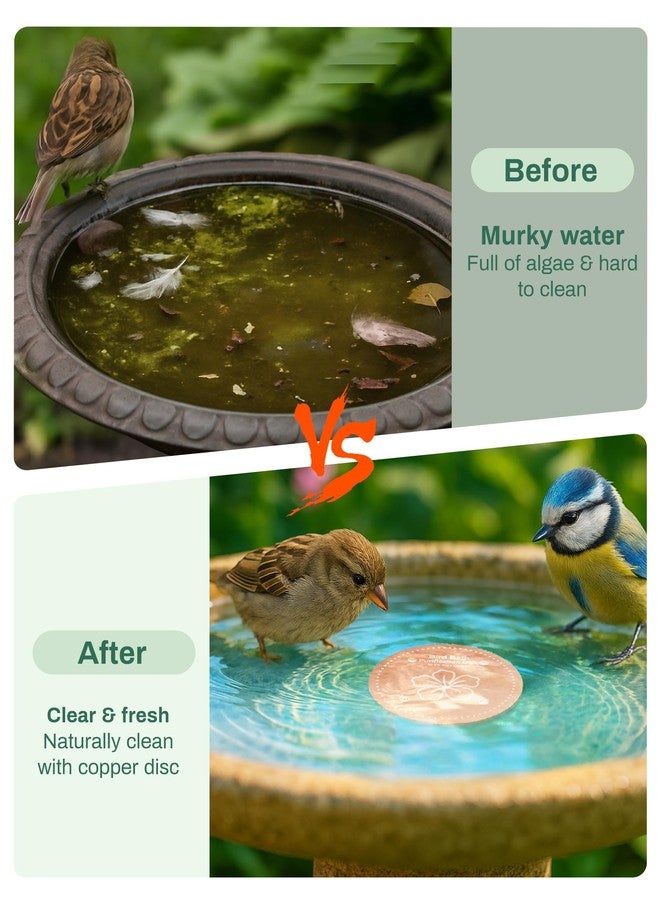 OICEME Bird Bath Purification Disk Pure Copper Outside Winter Solar Power Birdbath Wild Hummingbird Pedestal Fountain Cleaner Humming Feeder Cage Dispenser Heater Ground Safe Garden Lover Women Gift - Image 3