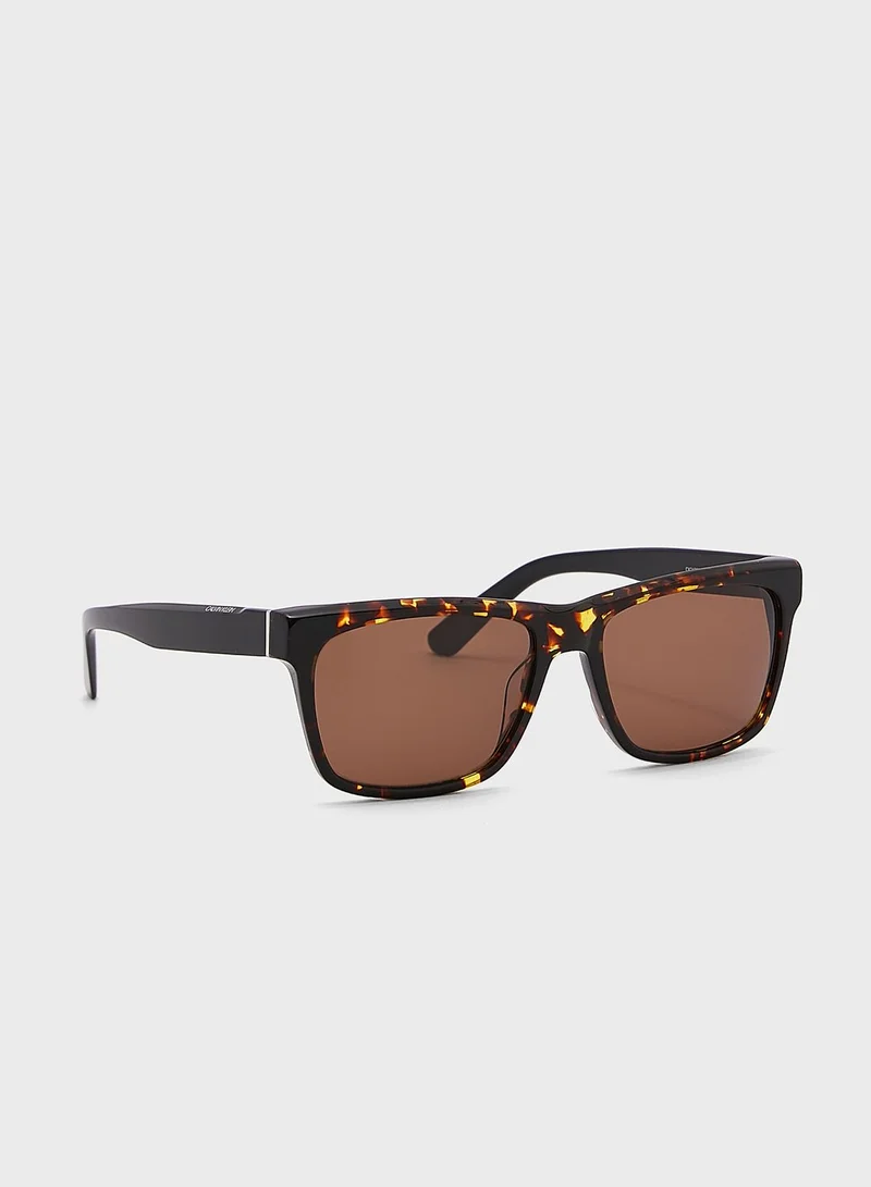 CALVIN KLEIN Wayfarers Sunglasses