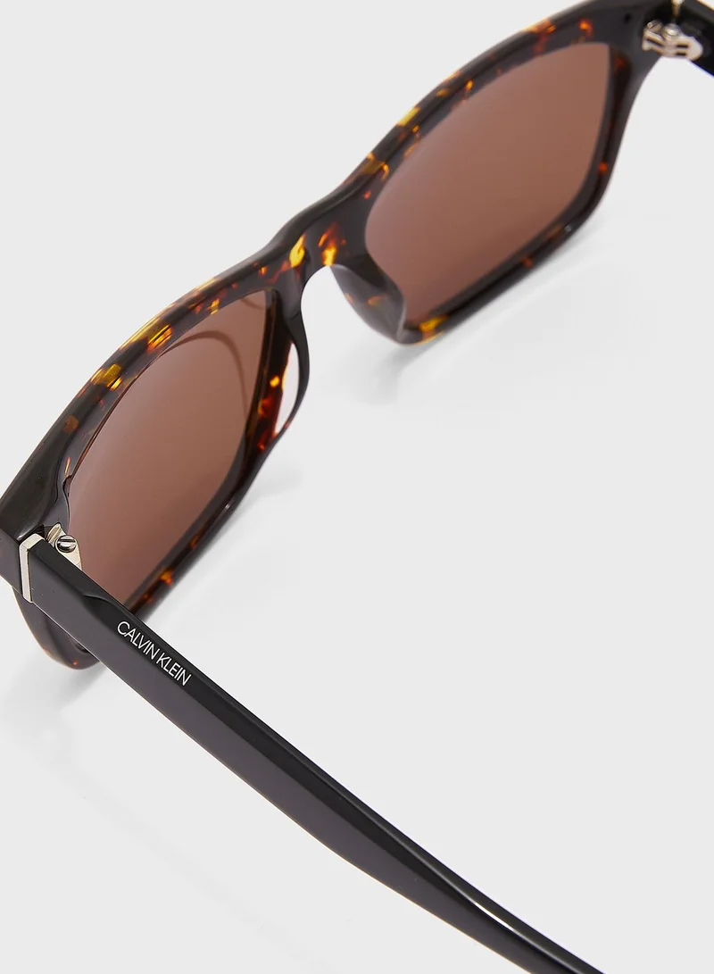 CALVIN KLEIN Wayfarers Sunglasses