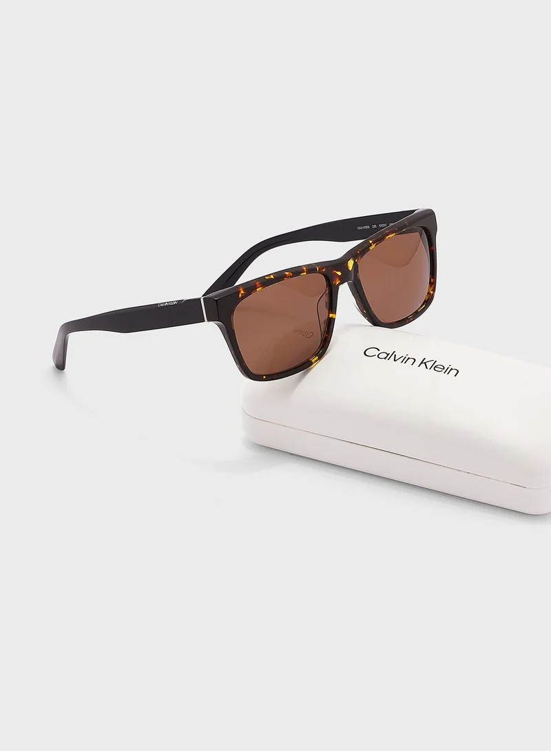 CALVIN KLEIN Wayfarers Sunglasses