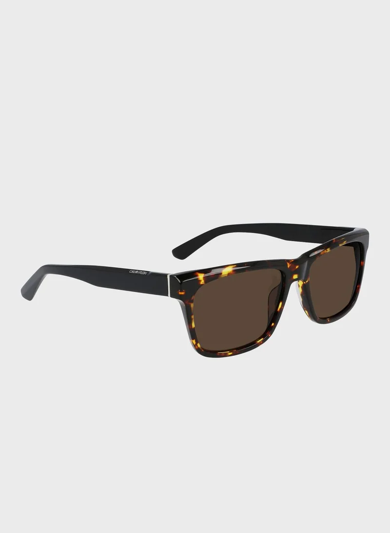 CALVIN KLEIN Wayfarers Sunglasses