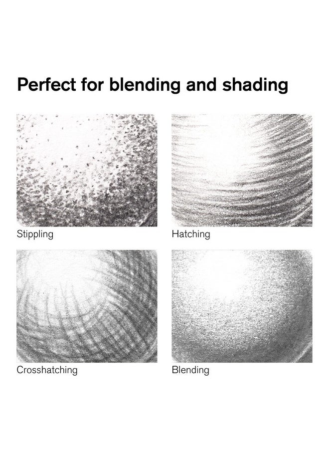 WINSOR & NEWTON Studio Collection 6 Count Charcoal Pencils  - Image 2