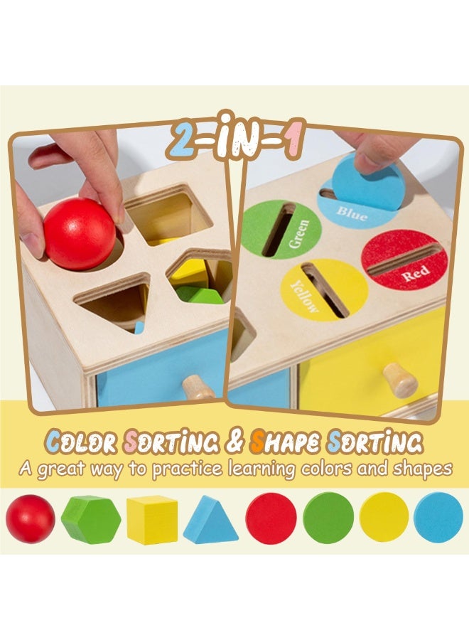 general Montessori Toys for 3 4 5 Year Old - Shape Sorter Matching Color Sorting Recognization Sensory Toys for Toddlers Boy Girl Education Preschool Fine Motor Skills Box Gift - Image 4