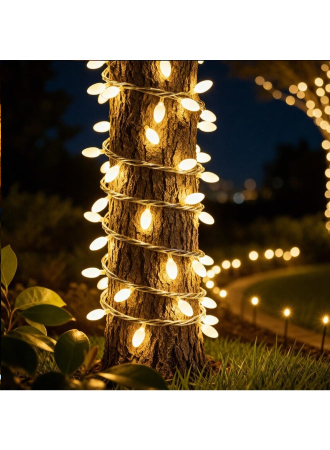 zayo ضوء خيط LED خارجي للحديقة دافئ أبيض 20م - Image 3