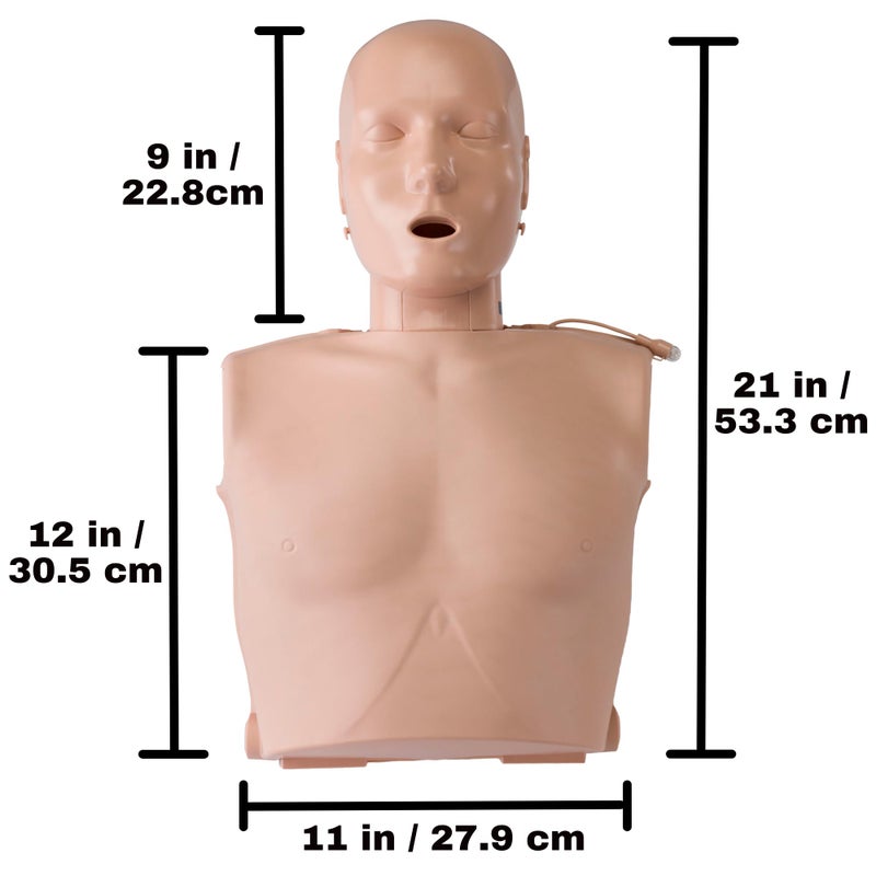 بريستن Ultralite Manikin with Feedback, Single Adult - Image 2