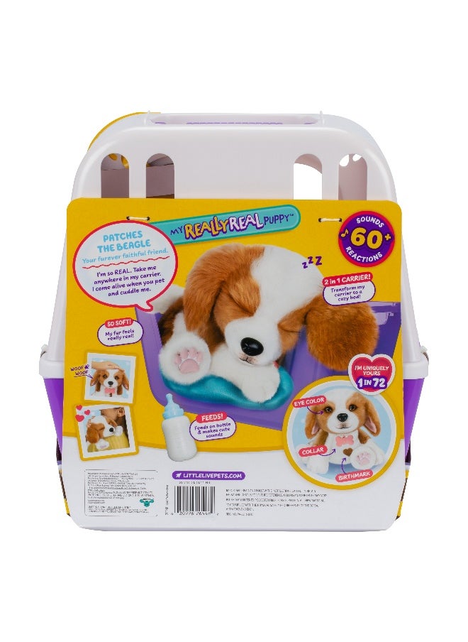 LITTLE LIVE PETS - My Really Real Puppy Interactive Toy - Image 1