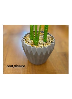 Generic Artificial Turtle Back Plants 90cm high Home Decoration Indoor and Outdoor Artificial Large Plants Bonsai Suitable for Modern Office Living Room Home Furnishings Gifts with Flower Pots (Extra large)  - Image 5
