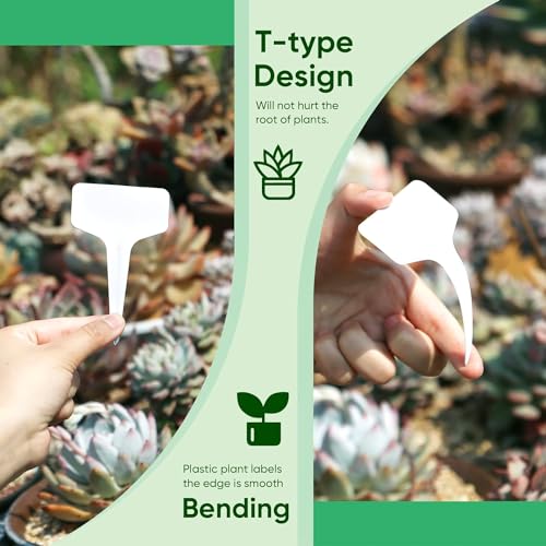 MTROYALDIA 200 Pieces Plastic Plant Labels,10 * 6CM, Waterproof Plant Tags, T-Type Plant Tags, Garden Tags for Outdoor, Plant Name Tags, Plant Identification Stakes, Nursery, Identification Stakes - Image 4