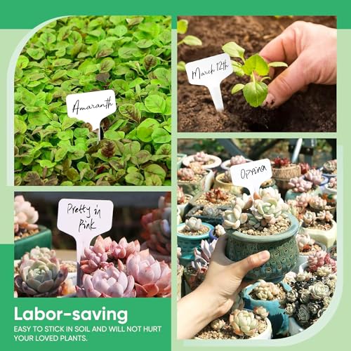 MTROYALDIA 200 Pieces Plastic Plant Labels,10 * 6CM, Waterproof Plant Tags, T-Type Plant Tags, Garden Tags for Outdoor, Plant Name Tags, Plant Identification Stakes, Nursery, Identification Stakes - Image 5