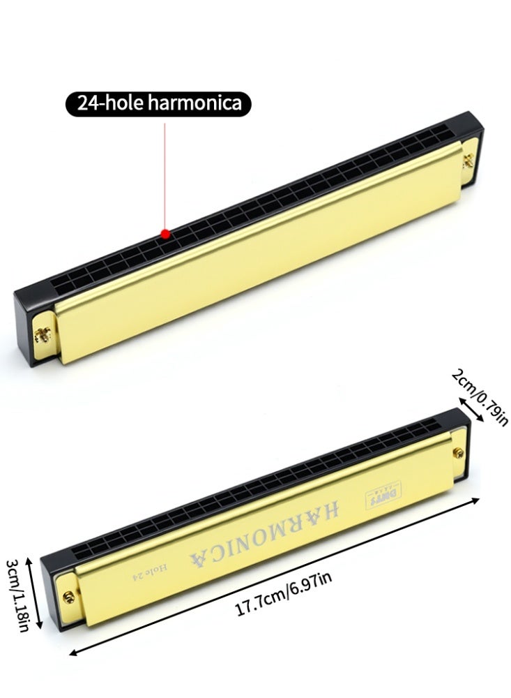 24 ثقوب Tremolo هارمونيكا مفتاح C الفولاذ فم الجهاز واضح نغمة خفيفة الوزن آمنة سهلة اللعب للمبتدئين - Image 2