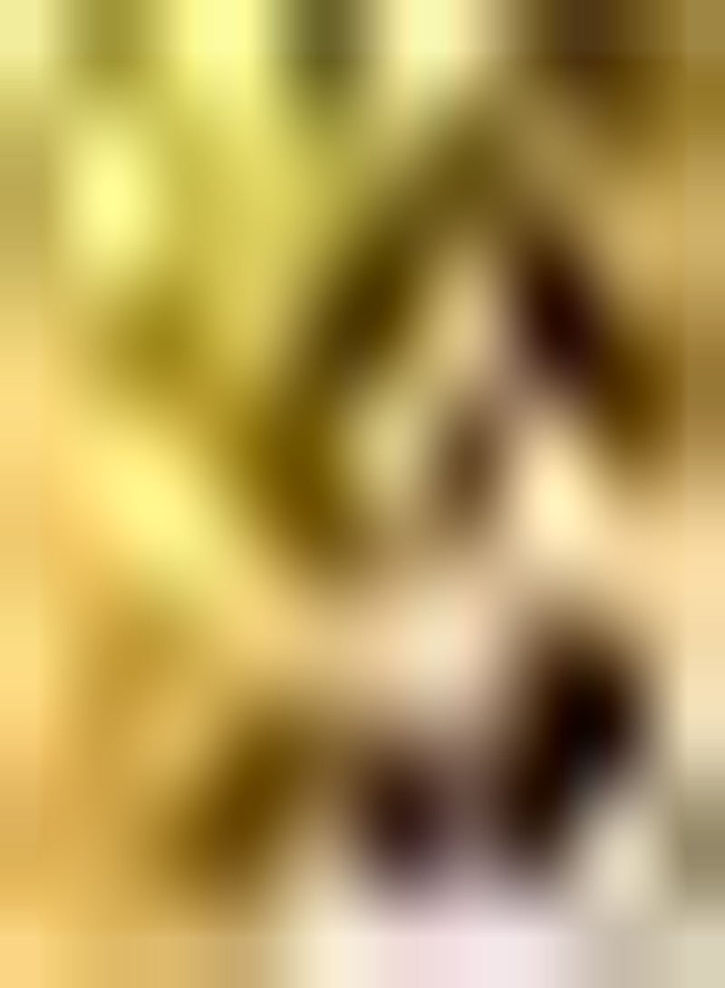 جي جوت 50 قطعة من بذور الحمضيات اليوسفي تجلب إحساسًا بالإنجاز، خضراء وعصيرية وسهلة التشغيل ومناسبة للزراعة في حدائق مختلفة - Image 2