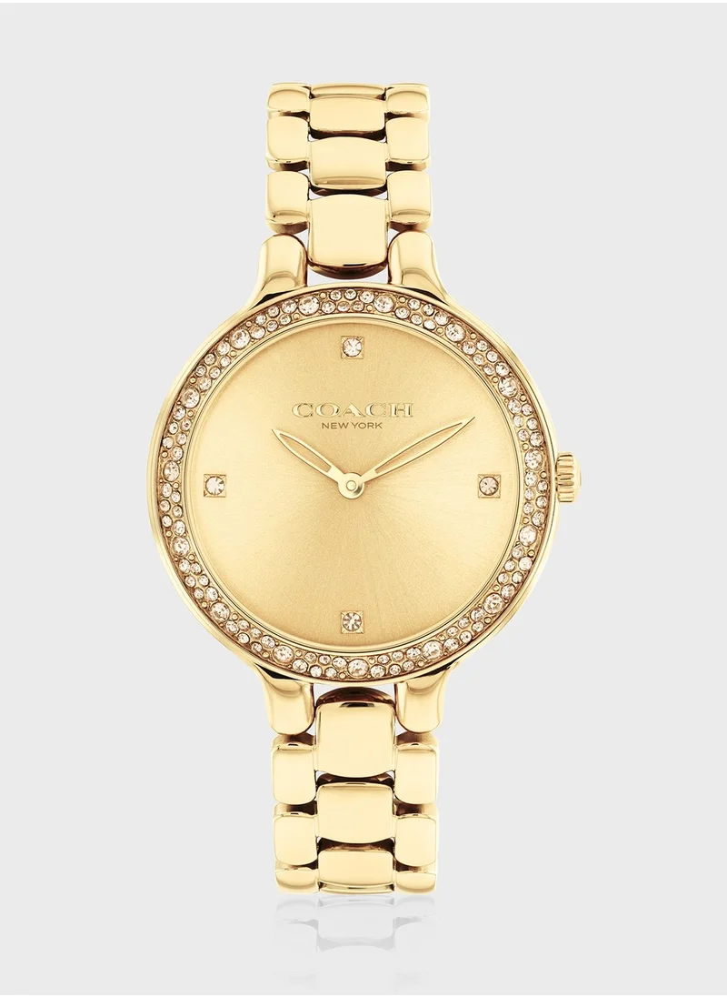 COACH Chelsea Ionic Plated Analog Watch