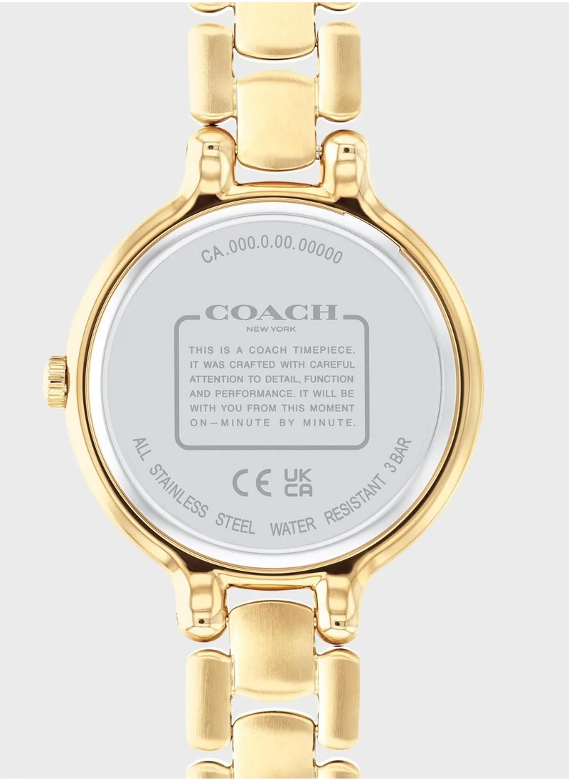 COACH Chelsea Ionic Plated Analog Watch