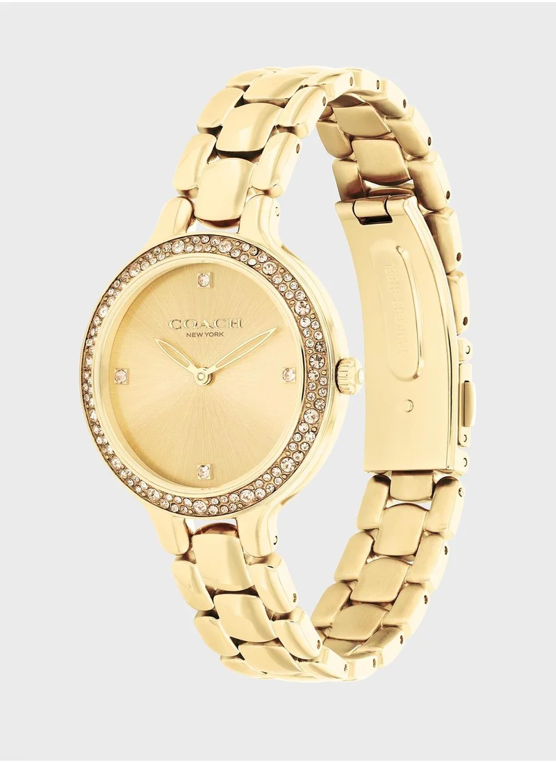 COACH Chelsea Ionic Plated Analog Watch
