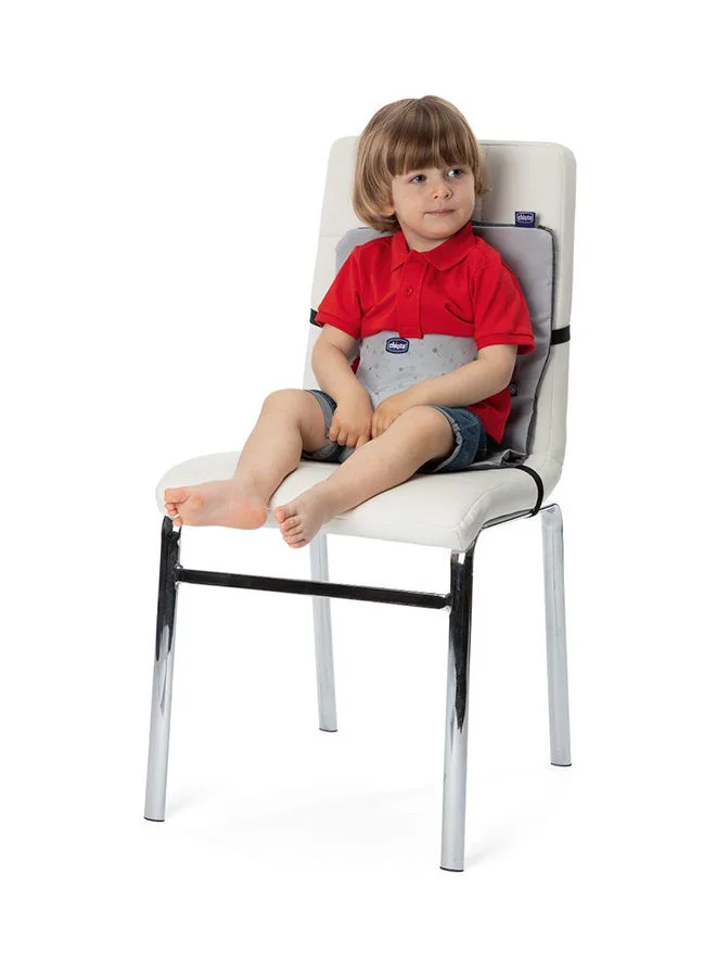 Chicco Wrappy Booster Seat, 6+ Months, Grey