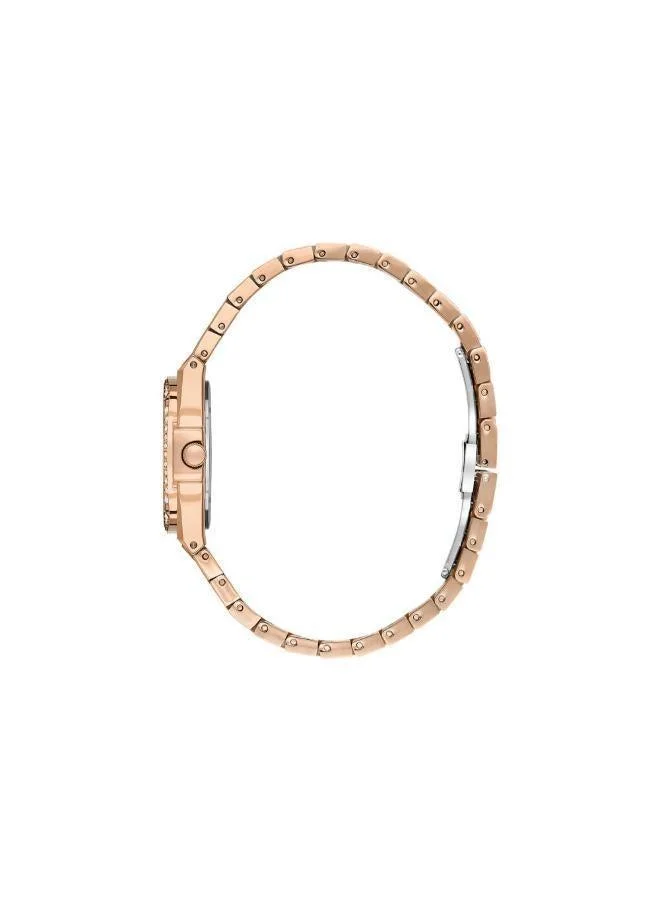 Daniel Klein Women's Stainless Steel Rose Gold Alloy Case Analog Silver Round Sunray Dial Japanese Quartz Premium 30 Meters Water Resistant