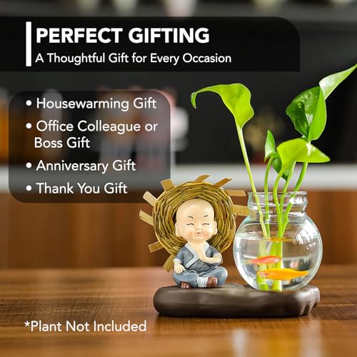 Ekhasa Nostrae Buddha with Money Plant Planter Show Pieces for Home Decor | Cute Showpieces Gift Item for Decoration | Center Table Tv Showcase Shelf Office Interior Statue Figurines - Image 5
