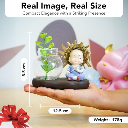 Ekhasa Nostrae Buddha with Money Plant Planter Show Pieces for Home Decor | Cute Showpieces Gift Item for Decoration | Center Table Tv Showcase Shelf Office Interior Statue Figurines - Image 3