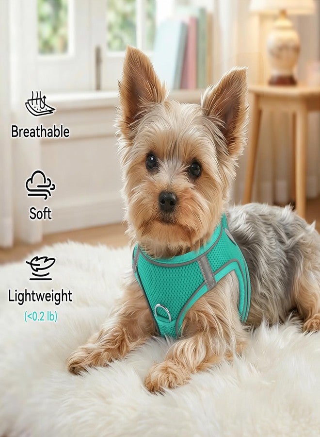 Joytale Small Dog Harness, Breathable Mesh Step-in Vest, Reflective Soft Padded Harnesses for Small and Medium Dogs, Teal, M - Image 4