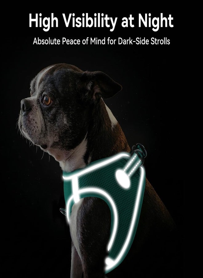 Joytale Small Dog Harness, Breathable Mesh Step-in Vest, Reflective Soft Padded Harnesses for Small and Medium Dogs, Teal, M - Image 5
