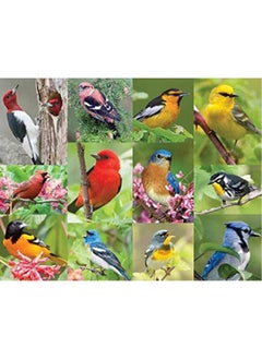 Springbok Springbok Birds of a Feather 500 piece Jigsaw Puzzle for Adults features a photo collage of colorful American birds  - Image 1