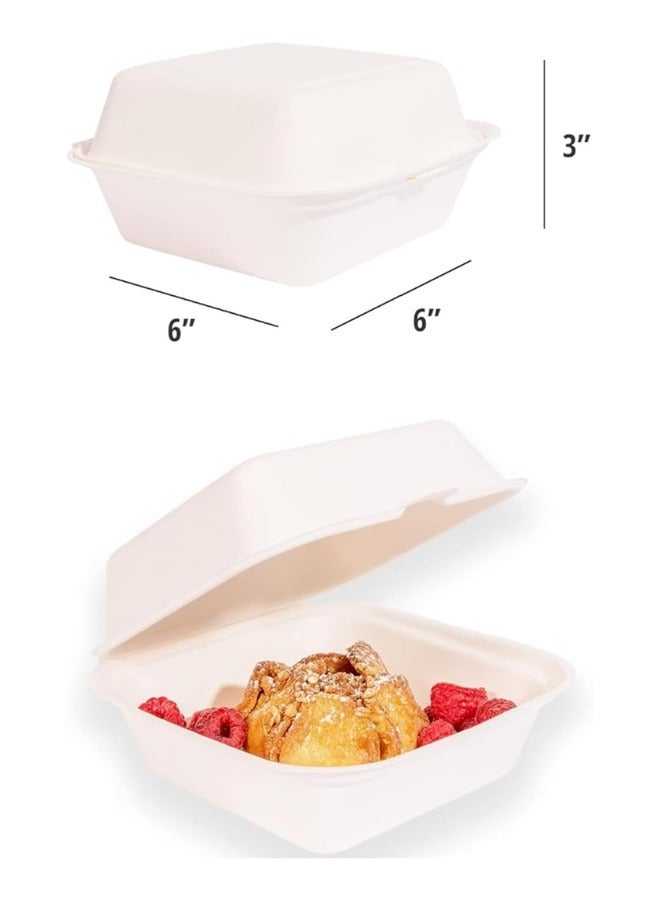 Halapack 20 Pcs Biodegradable Bagasse Box Heavy Duty Compostable Food Container Eco Friendly Bagsse Disposable Takeout Food Containers Natural Easily Compostable - Image 4