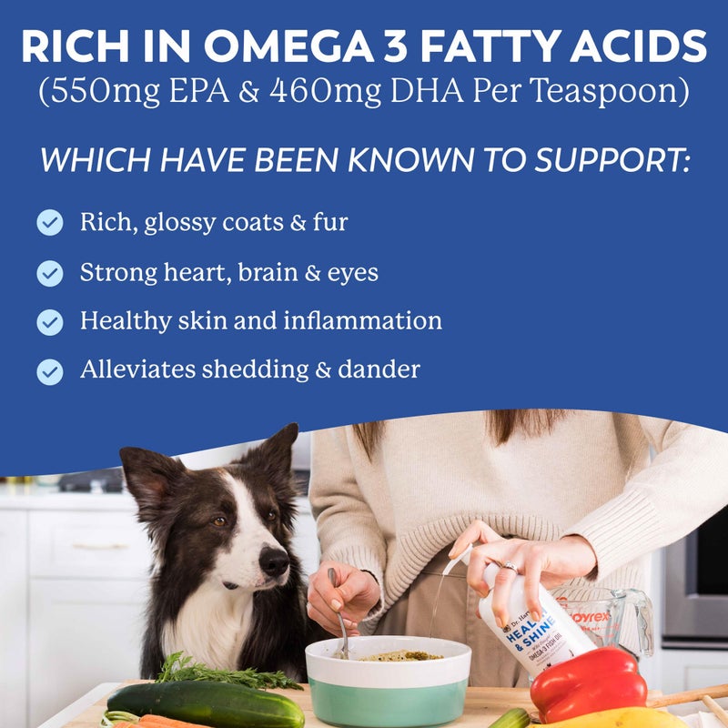 Dr. Harvey's Dr. Harveyâ€™s Health & Shine Omega 3 Fish Oil for Dogs from Wild Caught Cod, Mackerel, Herring, Anchovies and Sardines - Supports Beautiful Fur, Strong Joints and Itchy Allergy Relief (16 fl. oz.) - Image 4