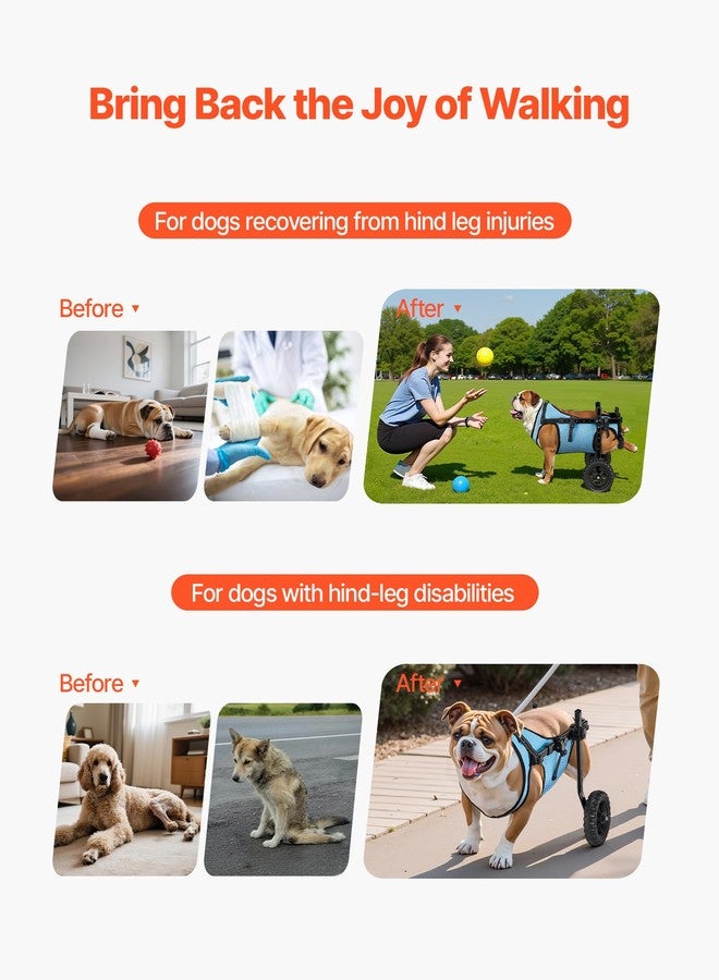 VEVOR Dog Wheelchair for Back Legs, Adjustable 2 Wheels Pet Wheelchair, Lightweight Dog Cart with Shock-Absorbing Wheels, Mobility Support Wheel Chair for Disabled Injured Dogs up to 33lbs, Medium - Image 3