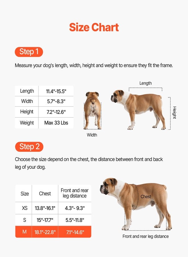 VEVOR Dog Wheelchair for Back Legs, Adjustable 2 Wheels Pet Wheelchair, Lightweight Dog Cart with Shock-Absorbing Wheels, Mobility Support Wheel Chair for Disabled Injured Dogs up to 33lbs, Medium - Image 4