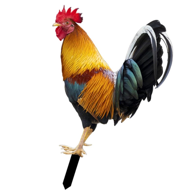 ATORSE Chicken Animal Statue Stakes Acrylic Lifelike for Courtyard Patio Yard Decor Style B - Image 1