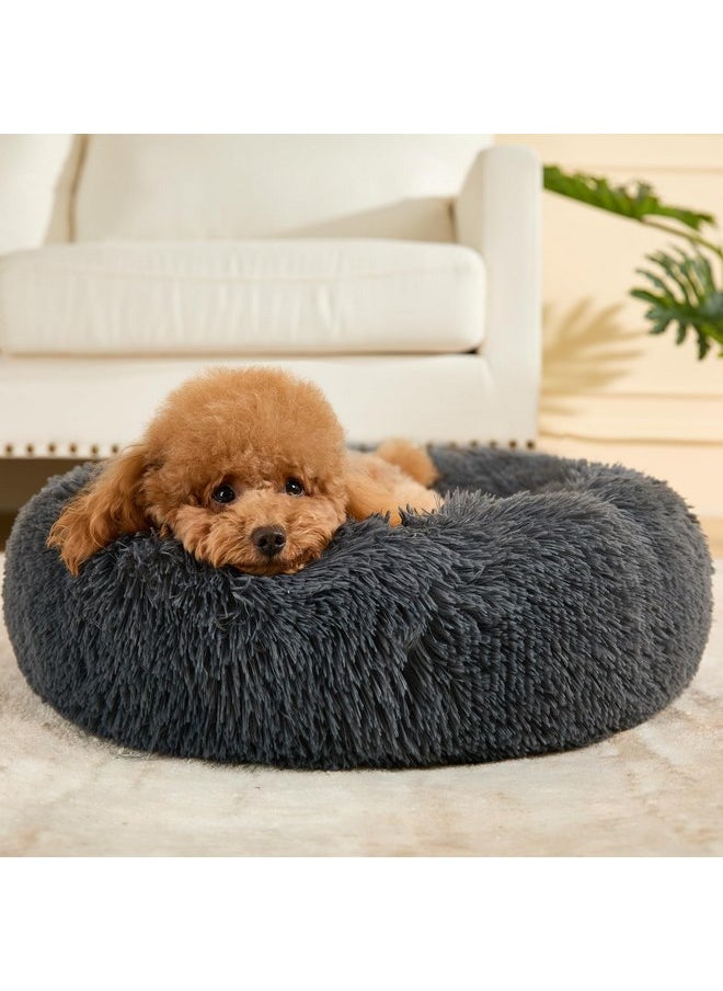 Kimpets Dog Bed Calming Dog Beds for Small Medium Large Dogs - Round Donut Washable Puppy Dog Bed, Anti-Slip Faux Fur Fluffy Donut Cuddle Anxiety Cat Pet Bed(24" Dark Grey) - pzsku/Z3D2141B59B19E0DB5546Z/45/_/1737031703/2a13f8db-9694-4a52-8843-4b065d6a1c99