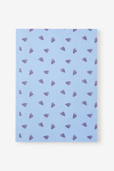 تايبو دفتر رايلي مقاس