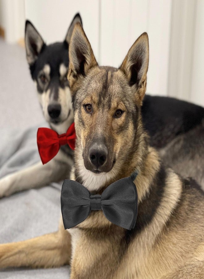 Koolmox Dog Bow Ties for Large Dogs, KOOLMOX Wine Red Adjustable Dog Collar Bow Tiefor Medium and Large Dogs Cats Pets Wedding Birthday Graduation Holiday Halloween Cosutmes - Image 4