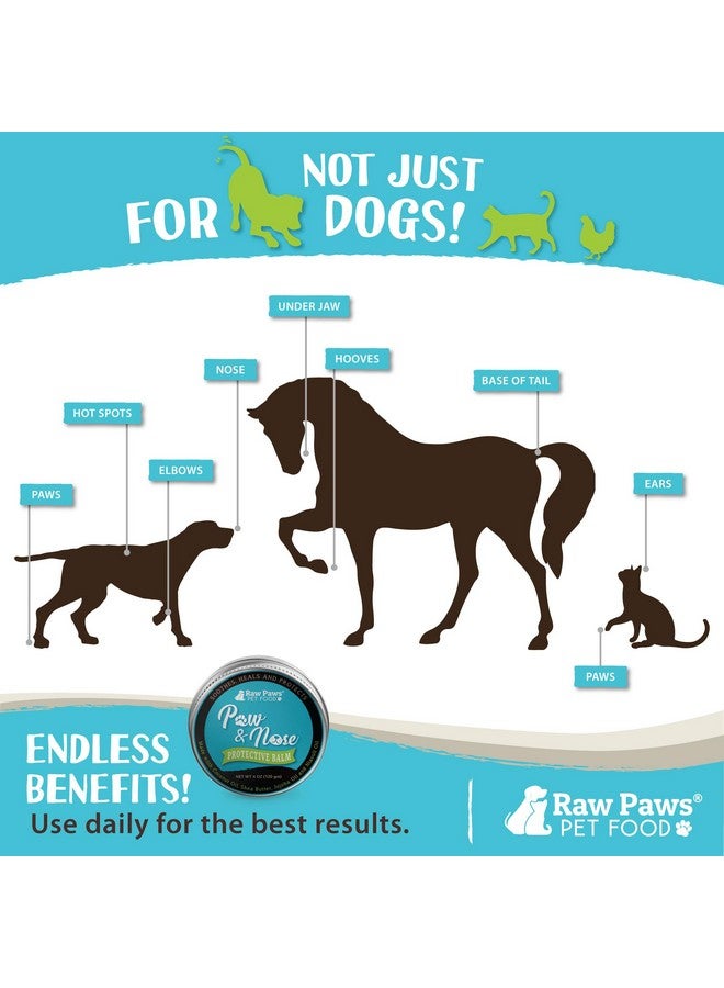 Raw Paws Paw & Nose Balm, 4Oz  Paw Wax For Dogs  Dog Paw Balm  Dog Paw Soother For Dogs  Cat Paw Balm  Natural Paw Balm For Dogs  Cat & Dog Paw Moisturizer  Paw Butter Balm For Dogs & Cats - Image 5