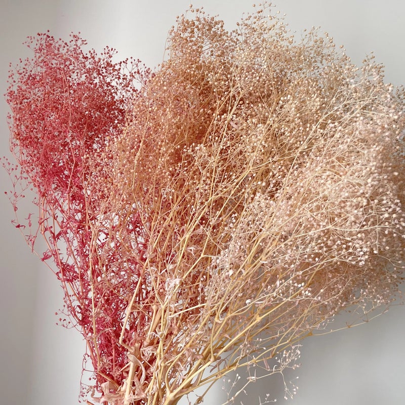 Bluejw Preserved Mini Gypsophila Elegans Baby's Breath Dried Flowers – Natural Dried Plants for Mother's Day, Christmas & Event Decorations, Long-Lasting Floral Arrangements - Image 4