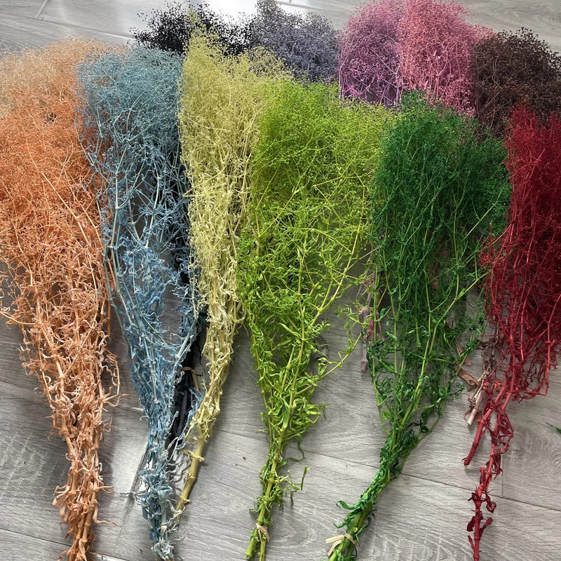 Bluejw Preserved Mini Gypsophila Elegans Baby's Breath Dried Flowers – Natural Dried Plants for Mother's Day, Christmas & Event Decorations, Long-Lasting Floral Arrangements - Image 3